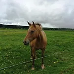 Oda ve Kahvaltı La Ferme Du Doux 4*