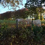 Oda ve Kahvaltı La Ferme Du Doux