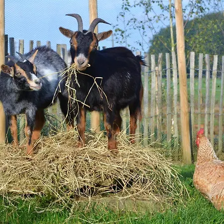 La Ferme Du Doux 4*