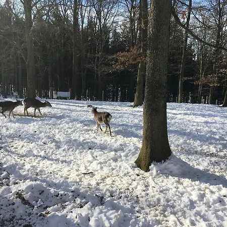 La Ferme Du Doux 4* Libramont-Chevigny