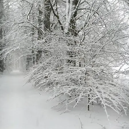 Bed & Breakfast La Ferme Du Doux Libramont-Chevigny