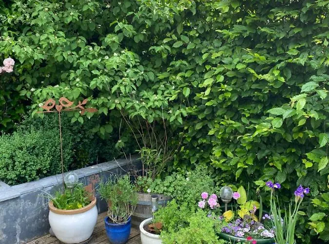 La Ferme Du Doux Libramont-Chevigny