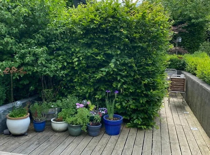 Couette-café La Ferme Du Doux Libramont-Chevigny