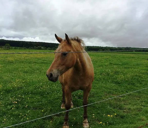 Couette-café La Ferme Du Doux 4*
