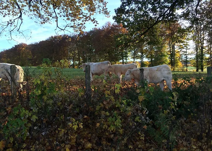 Bed & Breakfast La Ferme Du Doux