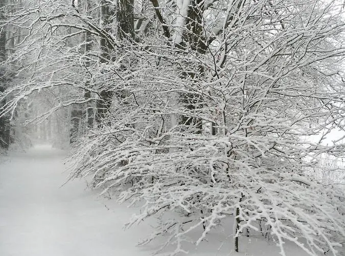 Bed & Breakfast La Ferme Du Doux Libramont-Chevigny